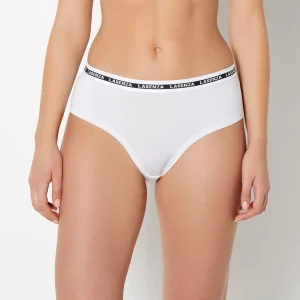 Brief in Powdered Sugar