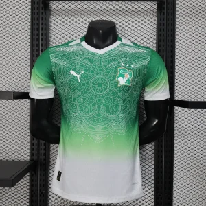 Maillot Cote d'Ivoire Concept degradé vert Version Joueur 2025/2026