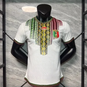 Maillot Mali Concept Version Joueur 2025/2026